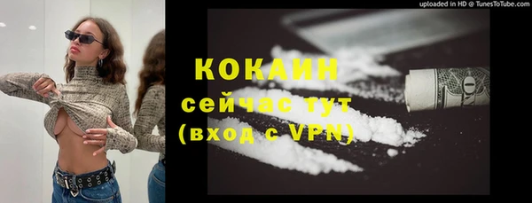 прущие грибы Алексин
