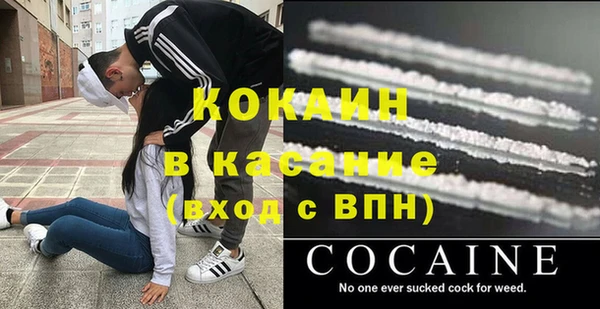 прущие грибы Алексин