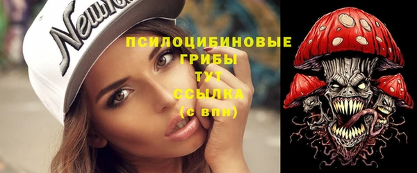 прущие грибы Алексин