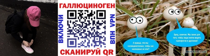 наркотики Аша Псилоцибиновые грибы MAGIC MUSHROOMS